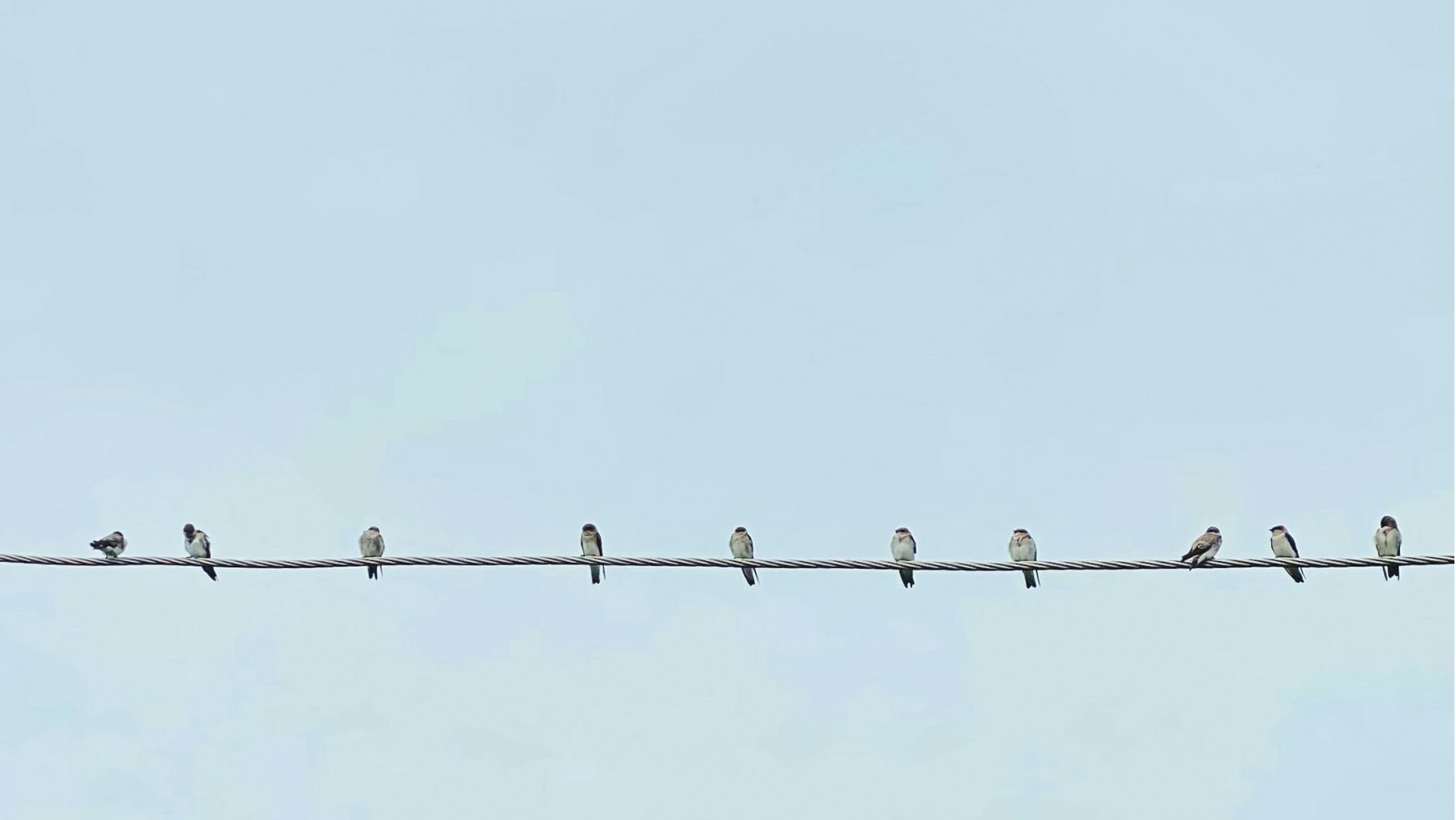 In a Sea of Sameness, Who’s Actually Making Waves? Notes for Brands | LBBOnline