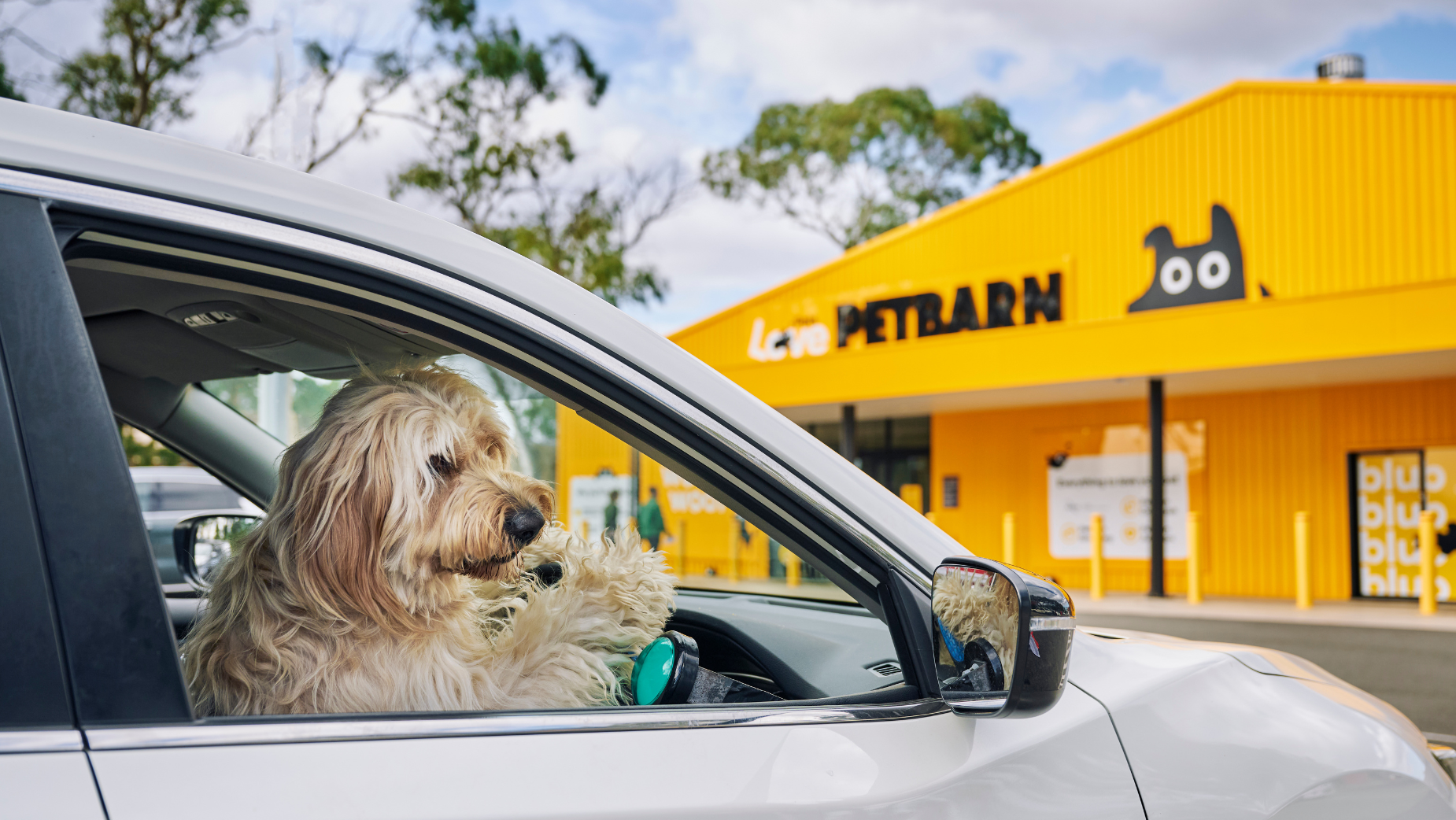 Dog Becomes Delivery Driver to Mark Petbarn Joining Uber Eats | LBBOnline