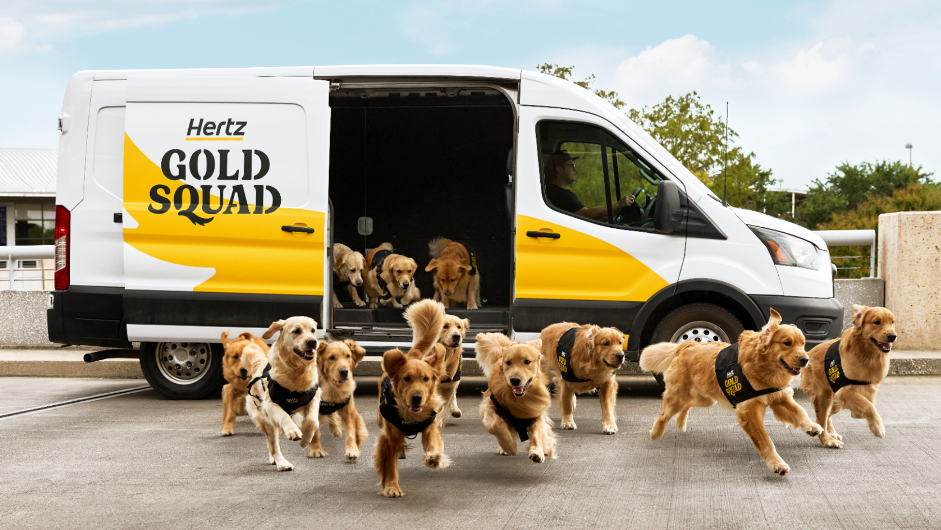 Hertz Brings Golden Retriever 'Gold Squad' to US Airports | LBBOnline