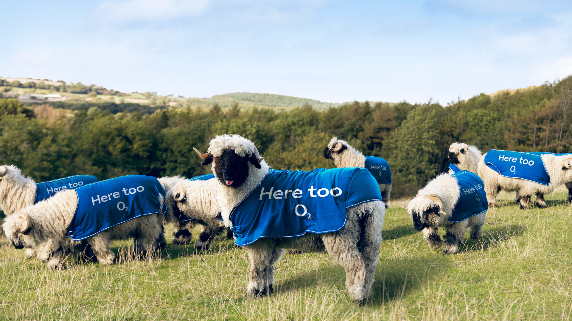 O2 Expands ‘Near or Far’ Campaign Into the Most Unexpected Places ...