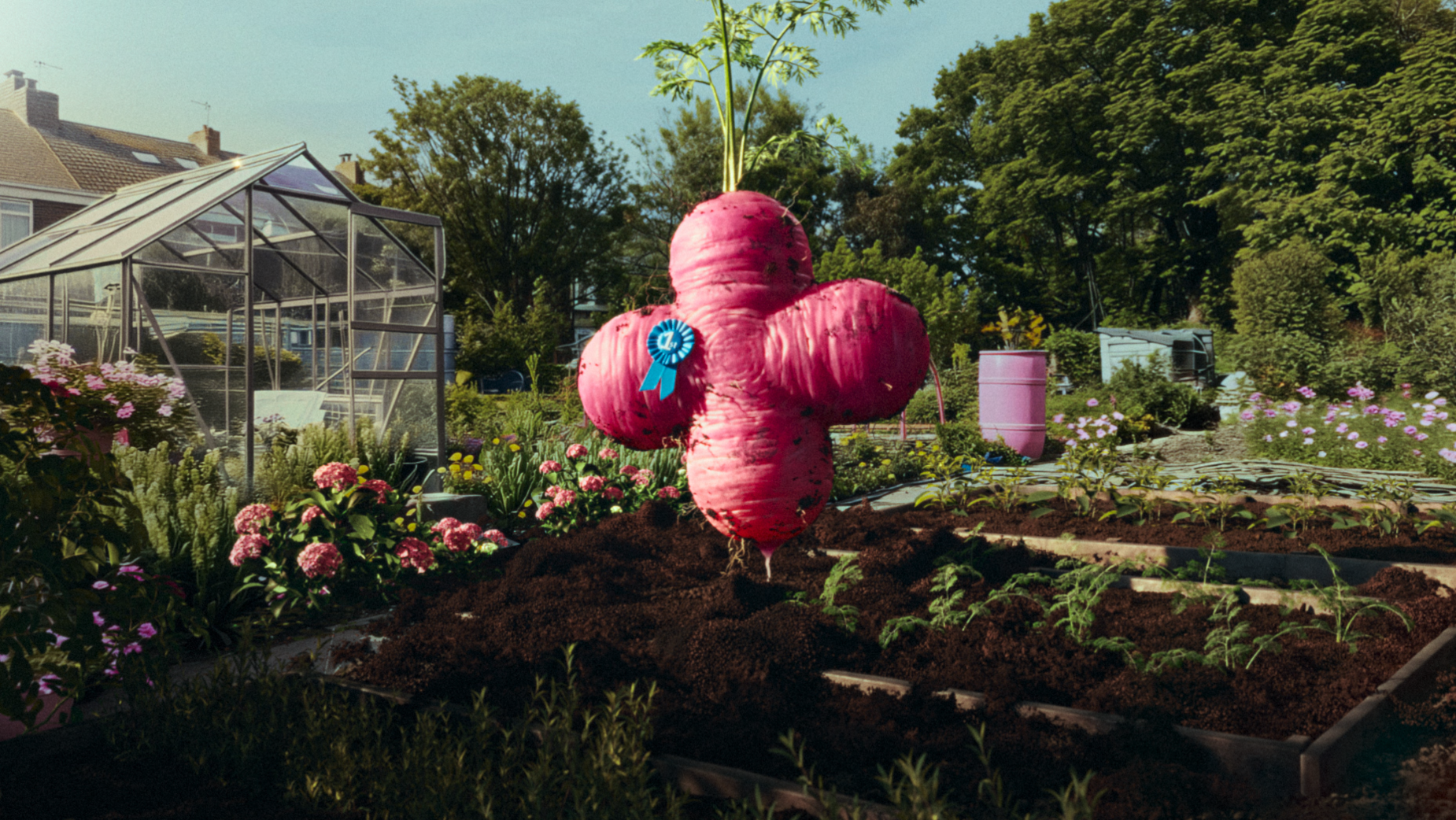 Plusnet Joe Channel 4 Sales Secures Sponsorship Deal as Plusnet Sponsors Key U&Dave ...