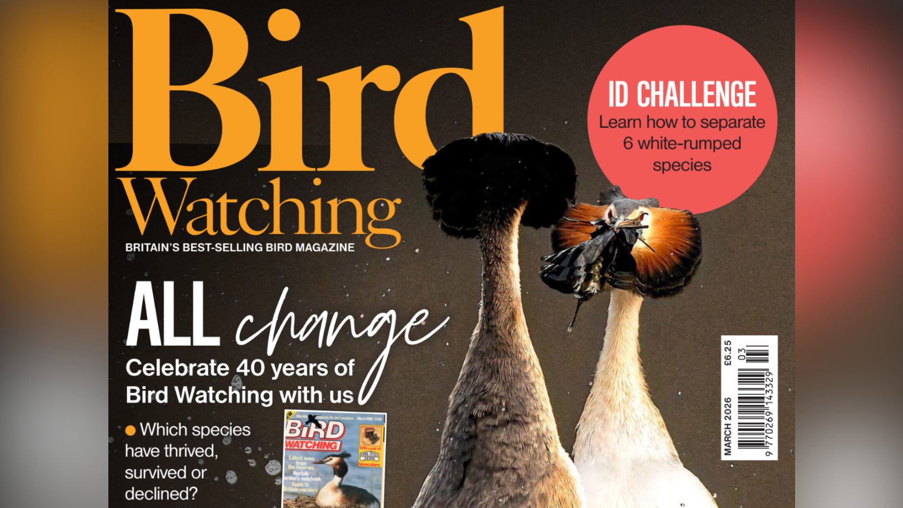 'Bird Watching' Magazine Celebrates 40th Anniversary | LBBOnline