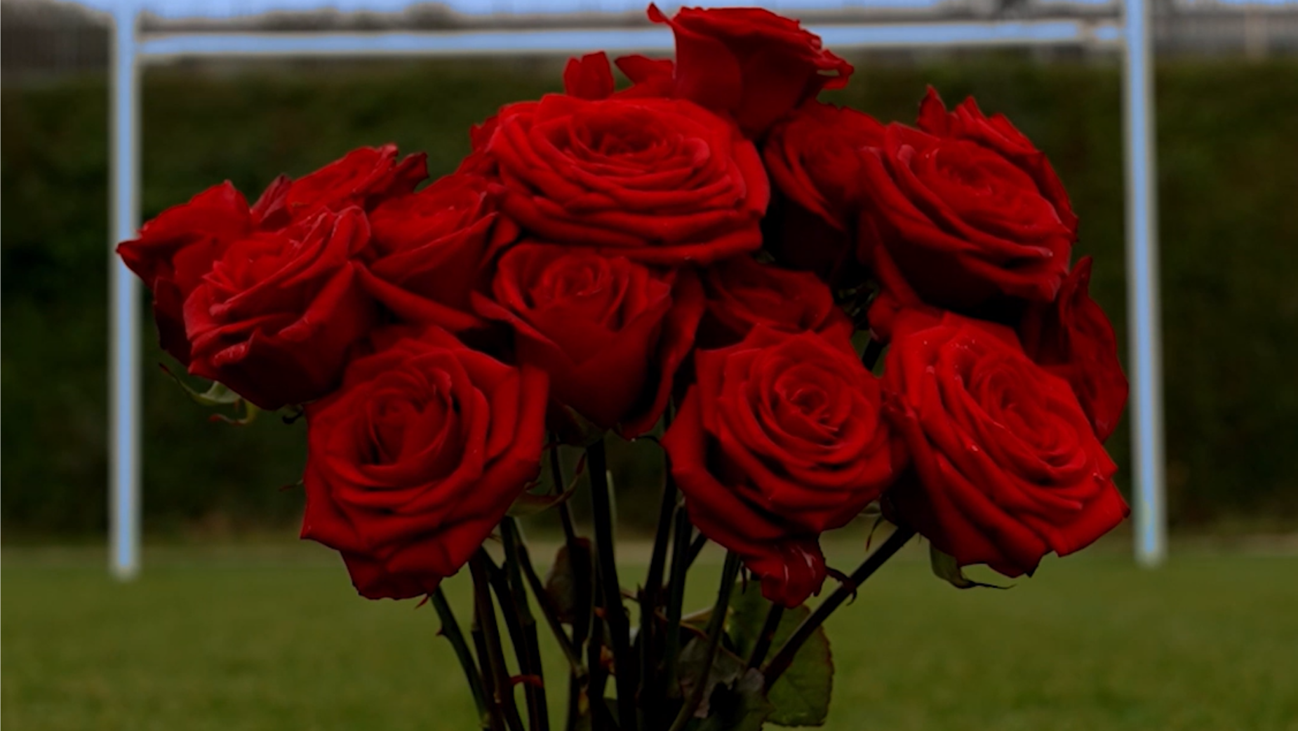 Tennent’s Marks Valentine’s Day with Heart‑Warming Scottish Tradition ...