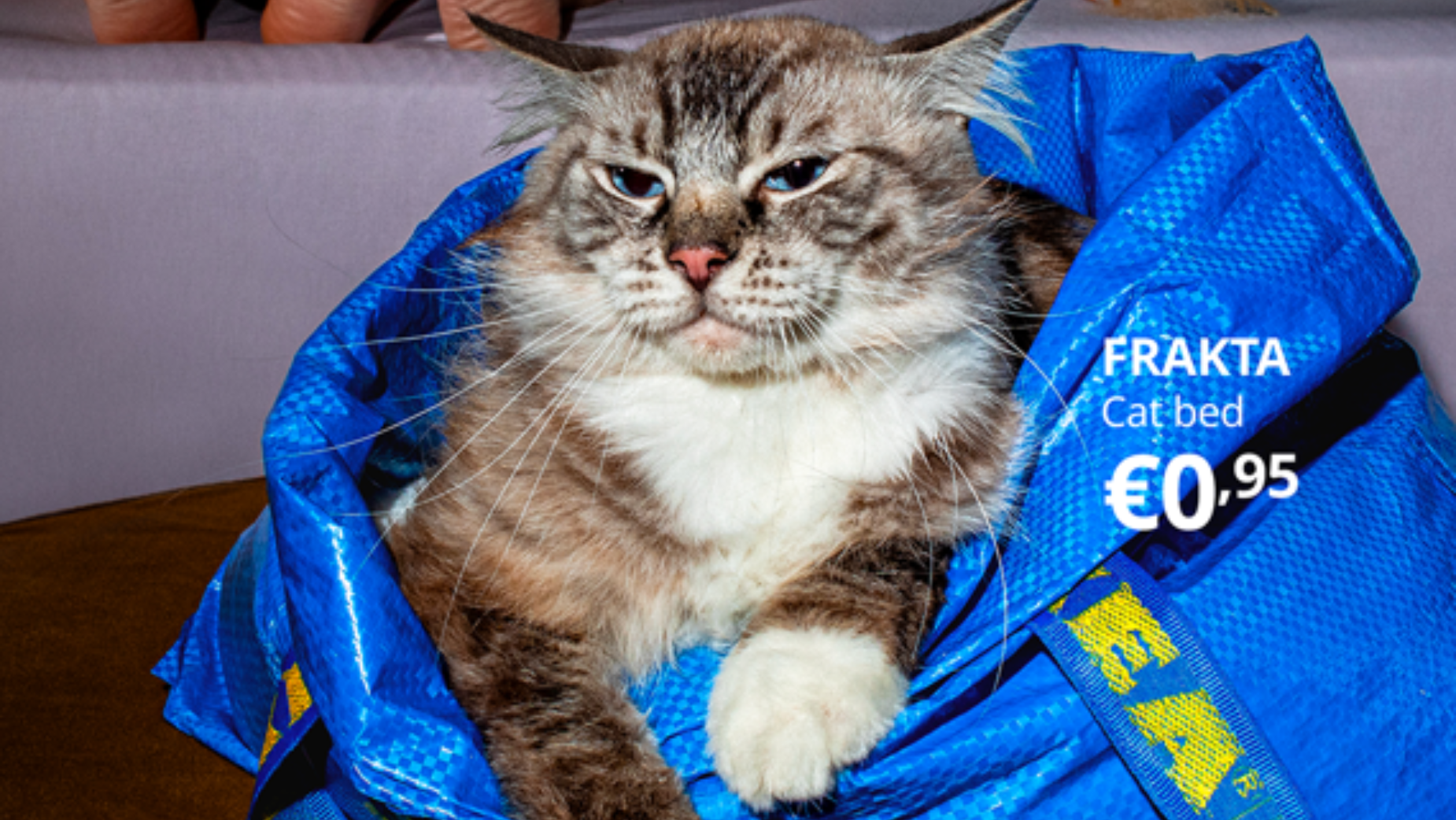 IKEA Italy Finds New Lives for the FRAKTA Bag for 30 Year Anniversary