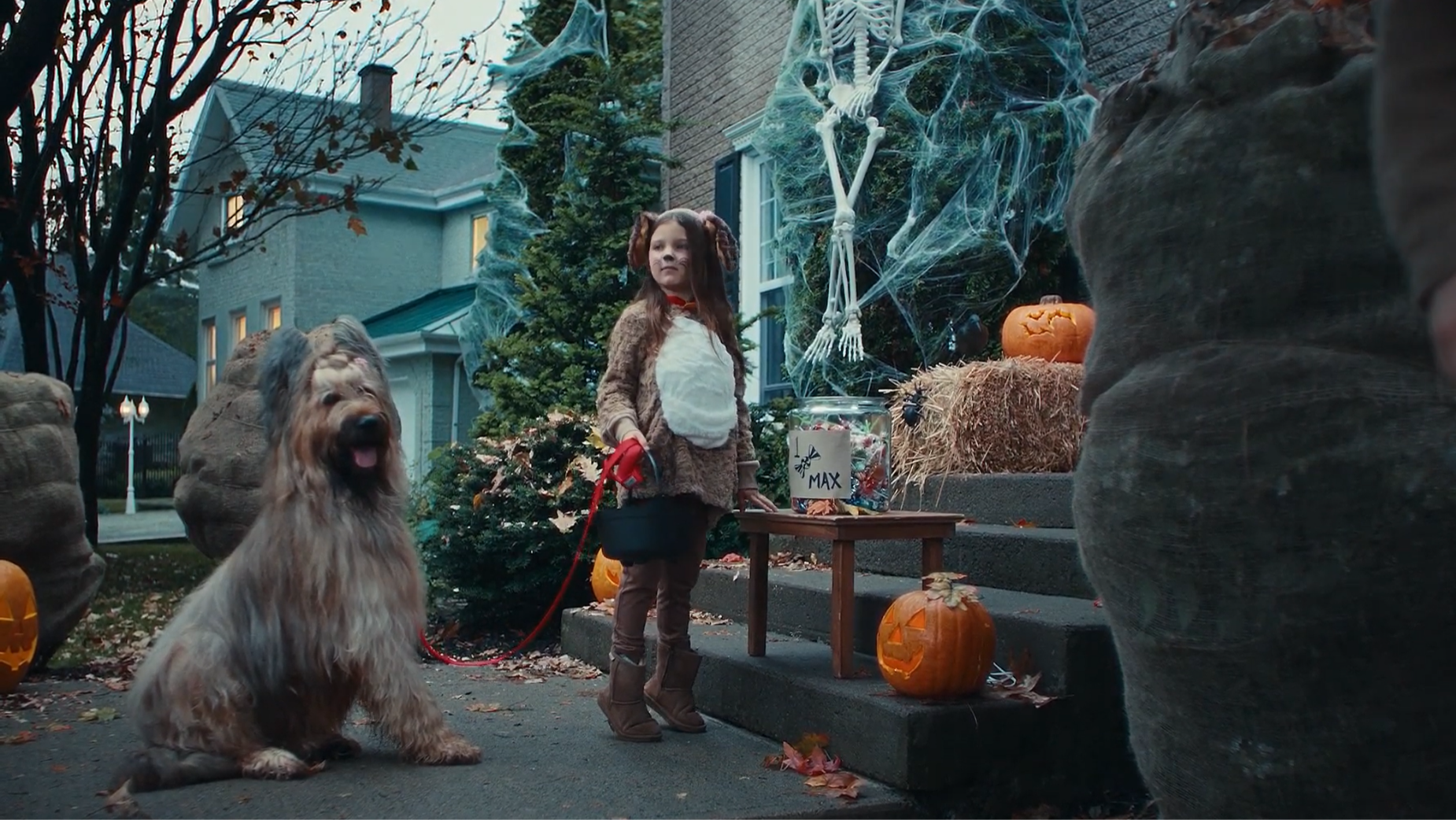 Mondou Gets Real About the Not-So-Perfect Moments We Share with Our Pets
