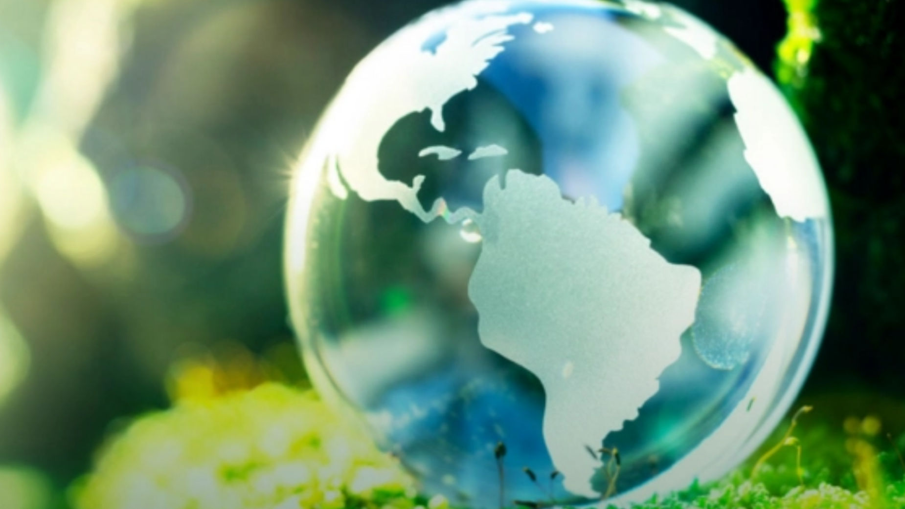 Ad Net Zero Reports Industry Progress to Net Zero, but More Work Is ...