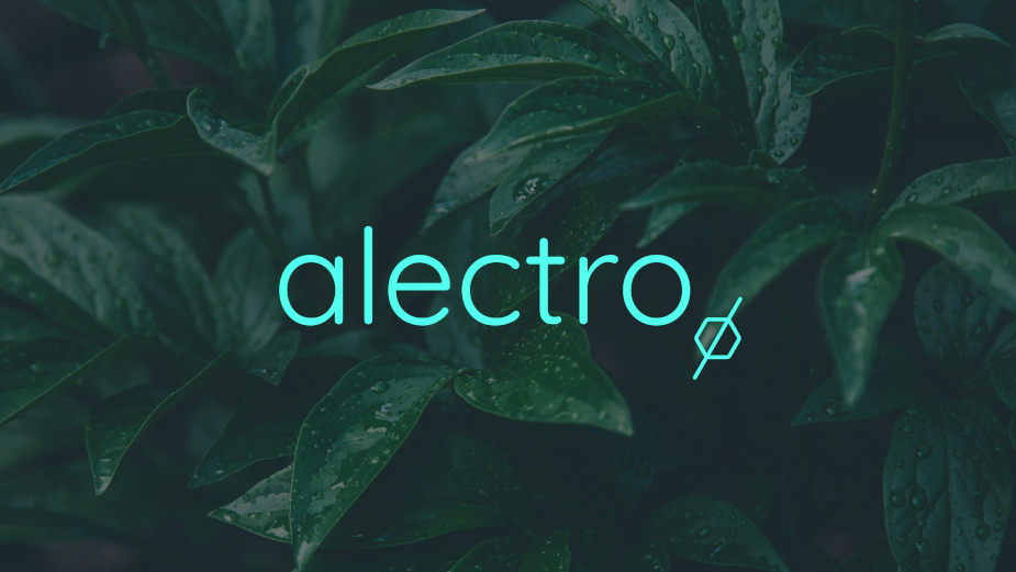 Conquering Carbon Reporting with Alectro | LBBOnline
