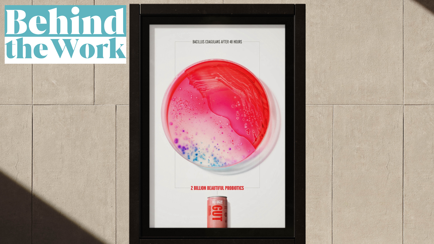 Damon Stapleton on How Droga5 Aotearoa Created “Unrepeatable” Bacterial ...