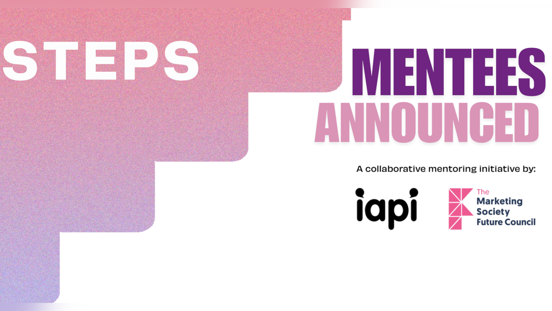 IAPI and The Marketing Society Future Council Announce Mentees for ...