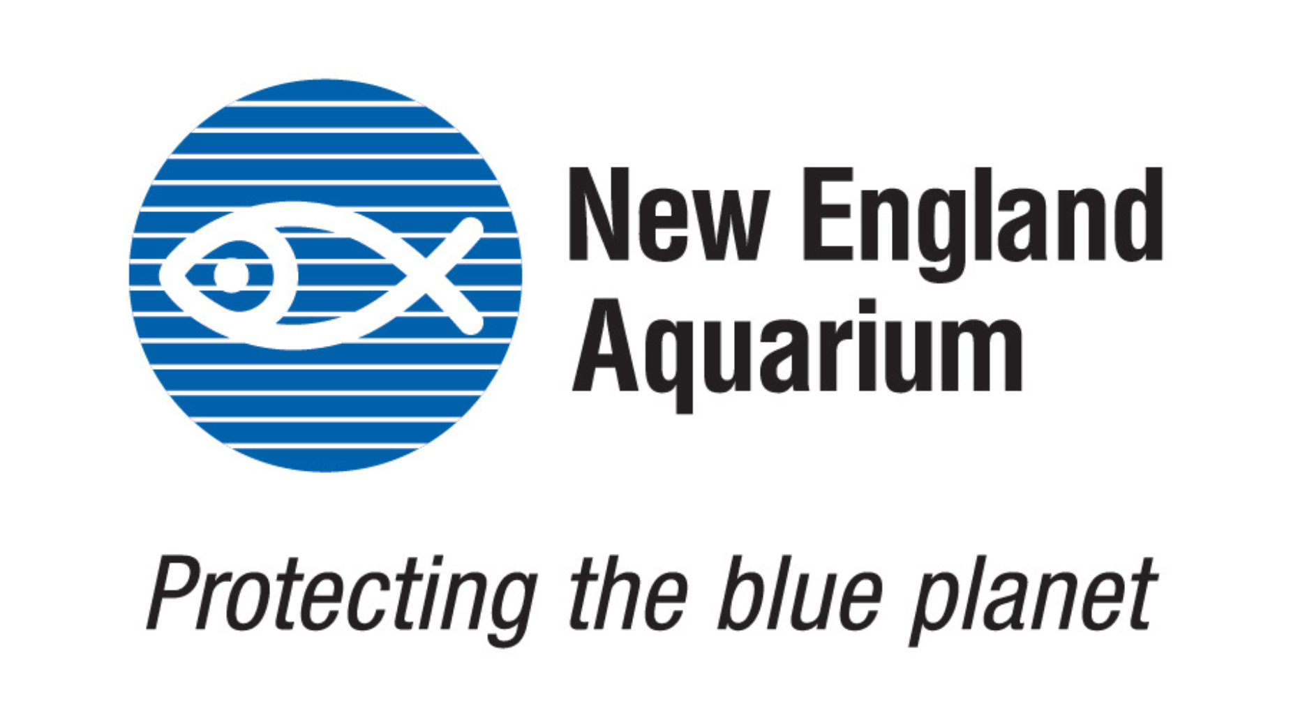 New England Aquarium Selects Allen & Gerritsen as Creative and Media AOR | LBBOnline