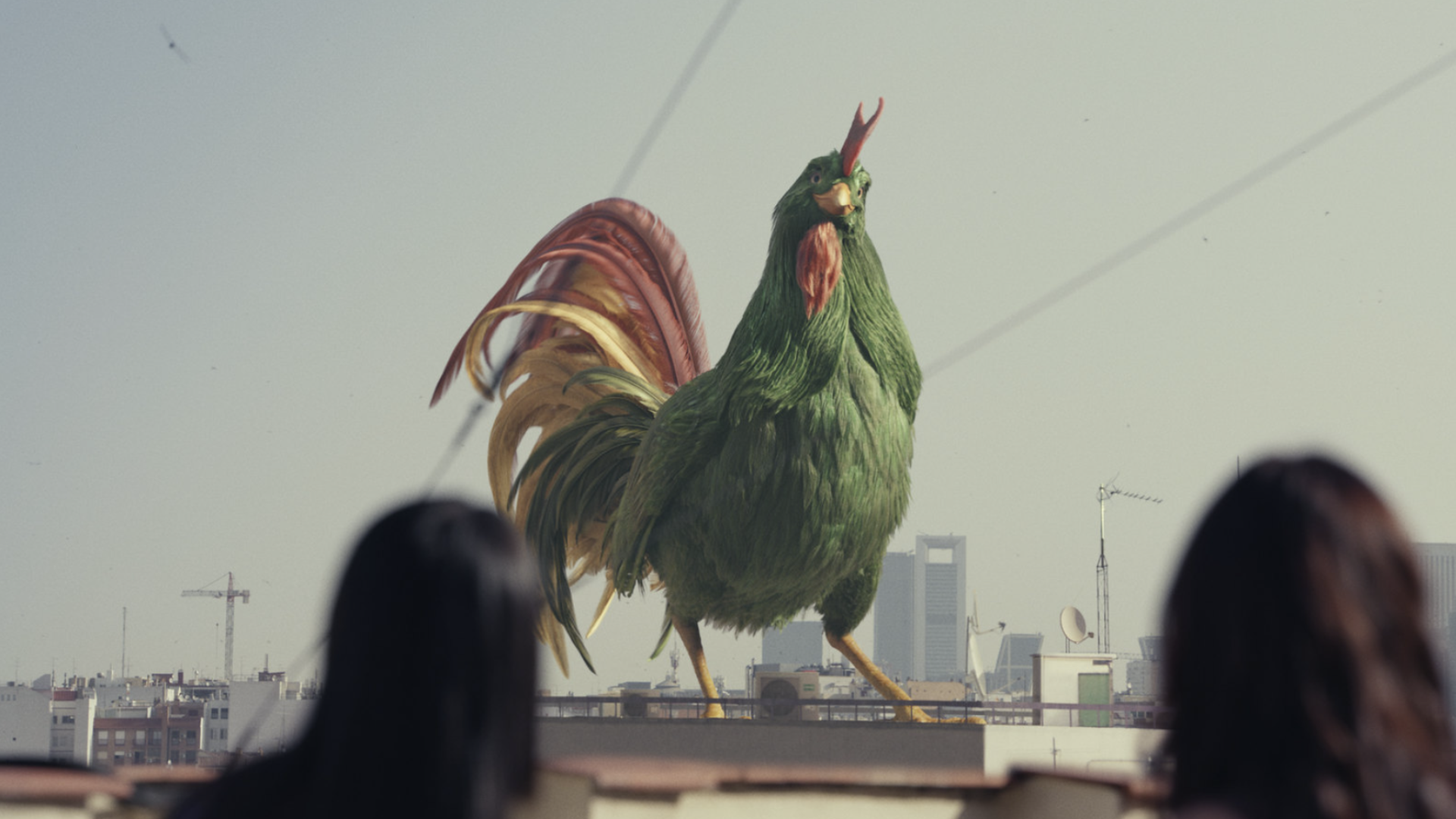 Cornelius the Cockerel Returns! Kellogg's New Spot Brings Swagger Back to  Breakfast | LBBOnline, image size:1920x1080