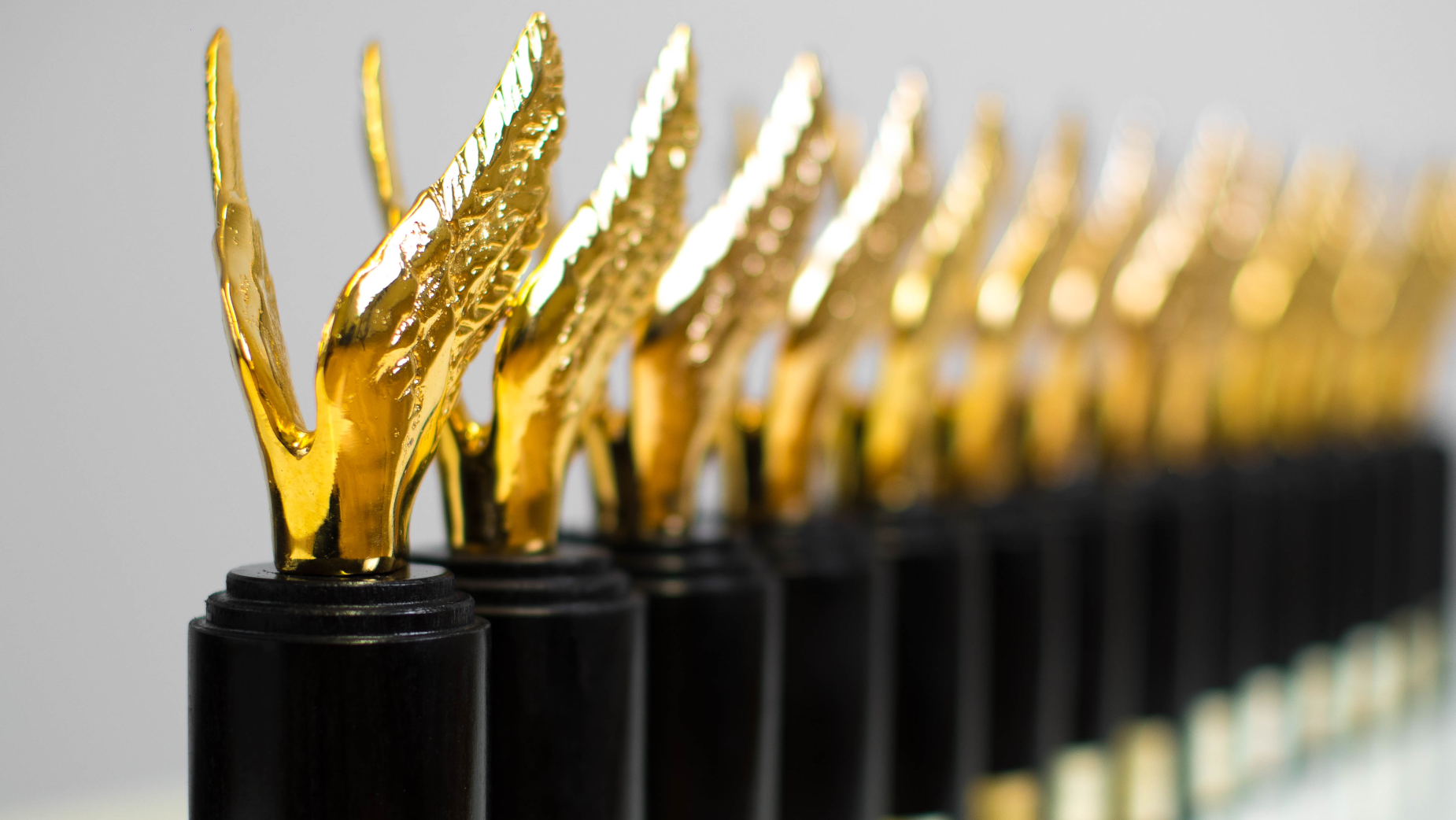 Winners Announced for the 2024 Venice TV Award