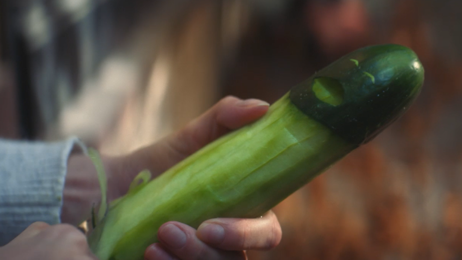 Cucumbers and Coconuts Are Fed Up of Being Used for Sex in Pornhub Spot |  LBBOnline