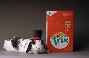 McCann NY Begins Search for the Real Trix Rabbit with Wonderfully ...