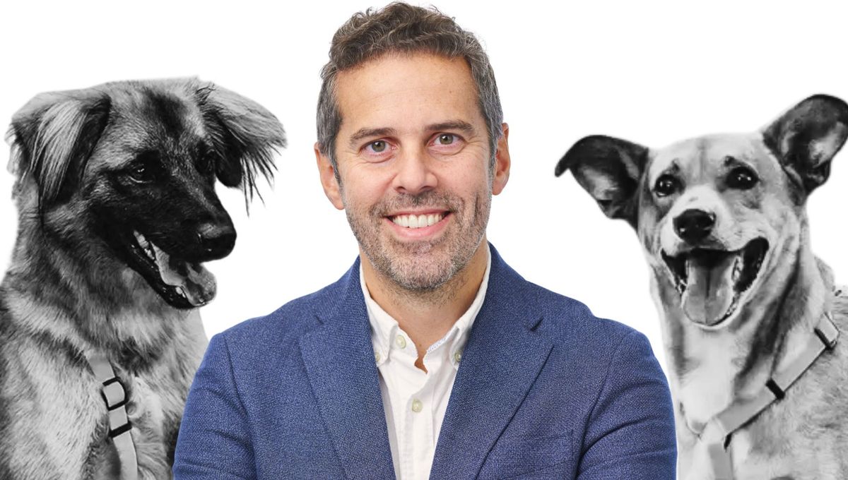 Pedigree Thinking: How Mars Is Unleashing Creativity and Driving Growth in Pet C...