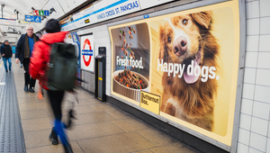 Bountiful Cow Wins Butternut Box Brand Media Account