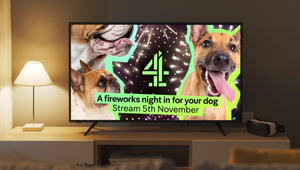 Channel 4 Unleashes Collection of Programmes Just for Dogs This Fireworks Night