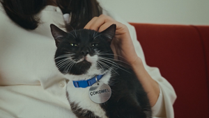 Çokomel Turns Its Wrappers Into Cat Toys for Türkiye’s Feline Namesakes