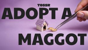 Maggot Asks For Home With Tennis Court in Innocean Australia Work For Bin Bag Biz