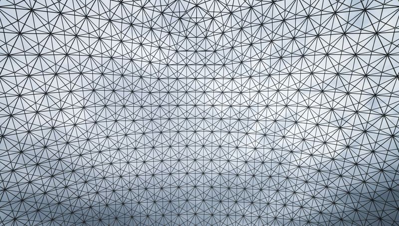 Connecting the Dots: The Unifying Role of Agency Innovation Leaders