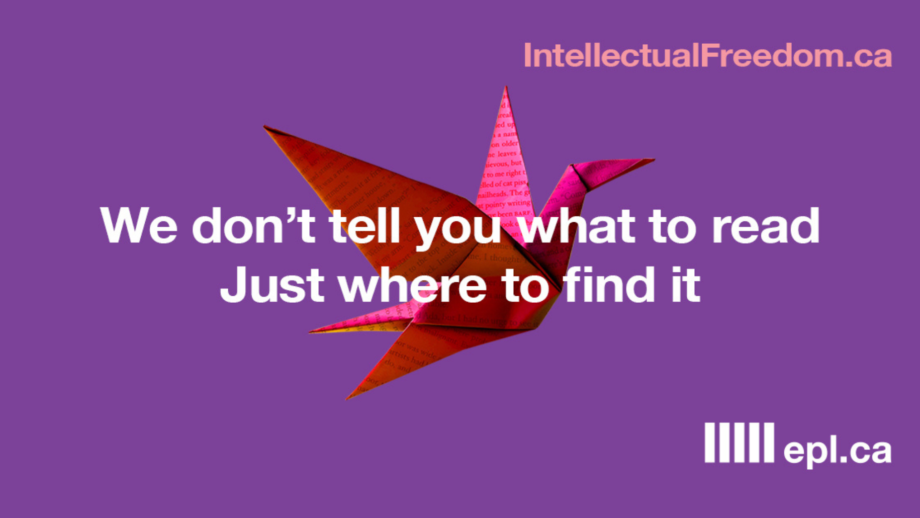 No Paywalls, No Algorithms, Just Freedom: The Ad Campaign Libraries ...