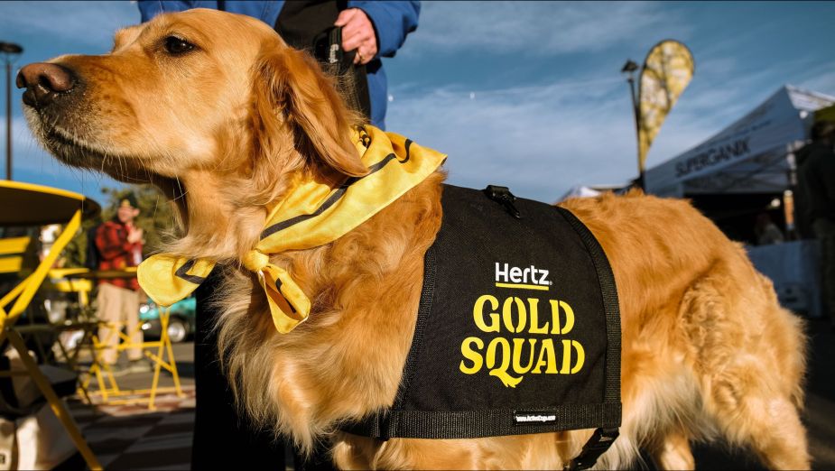 Huert Gold Hertz on Finding Its Golden Ticket in Golden Retrievers | LBBOnline